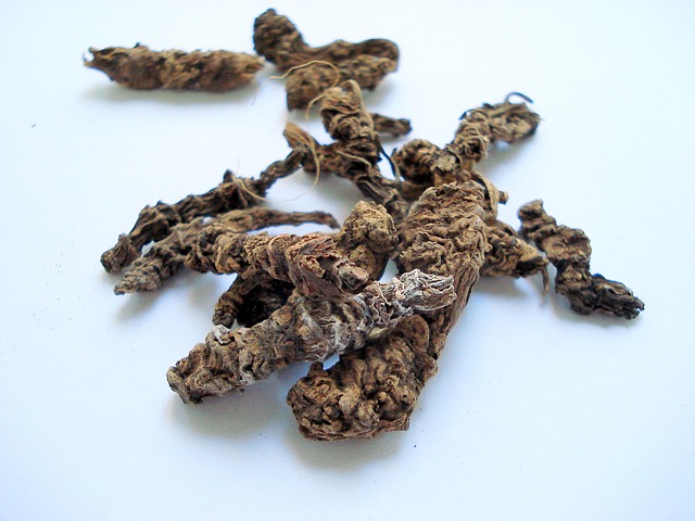 valerian-root herbs for stress
